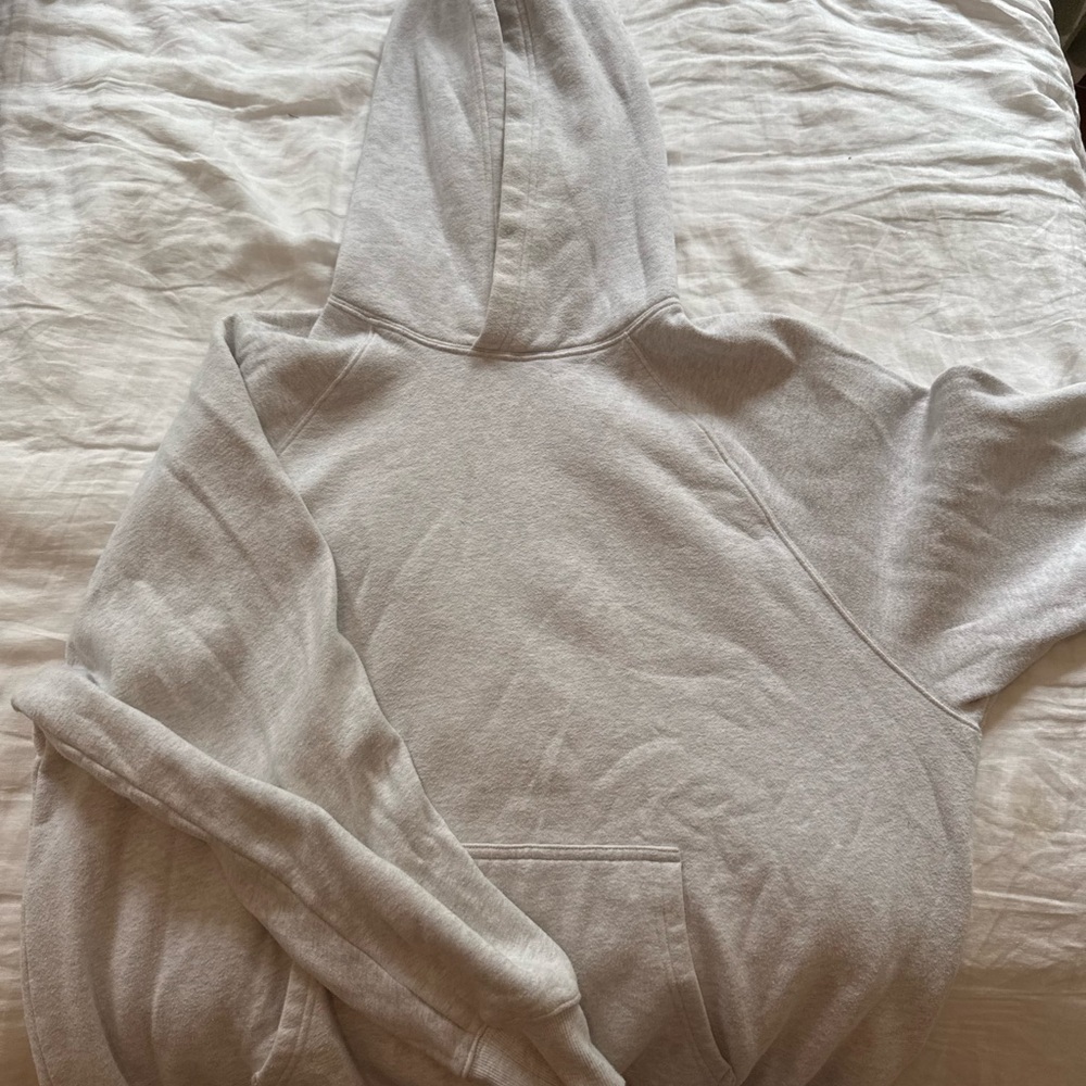 Aritzia Light Gray SWEATFLEECE Hoodie